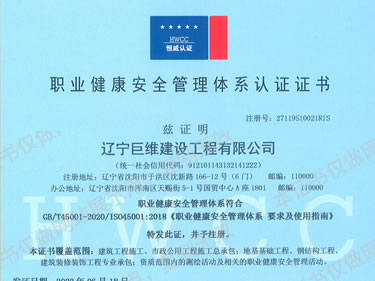 职业健康安全管理体系中文正本